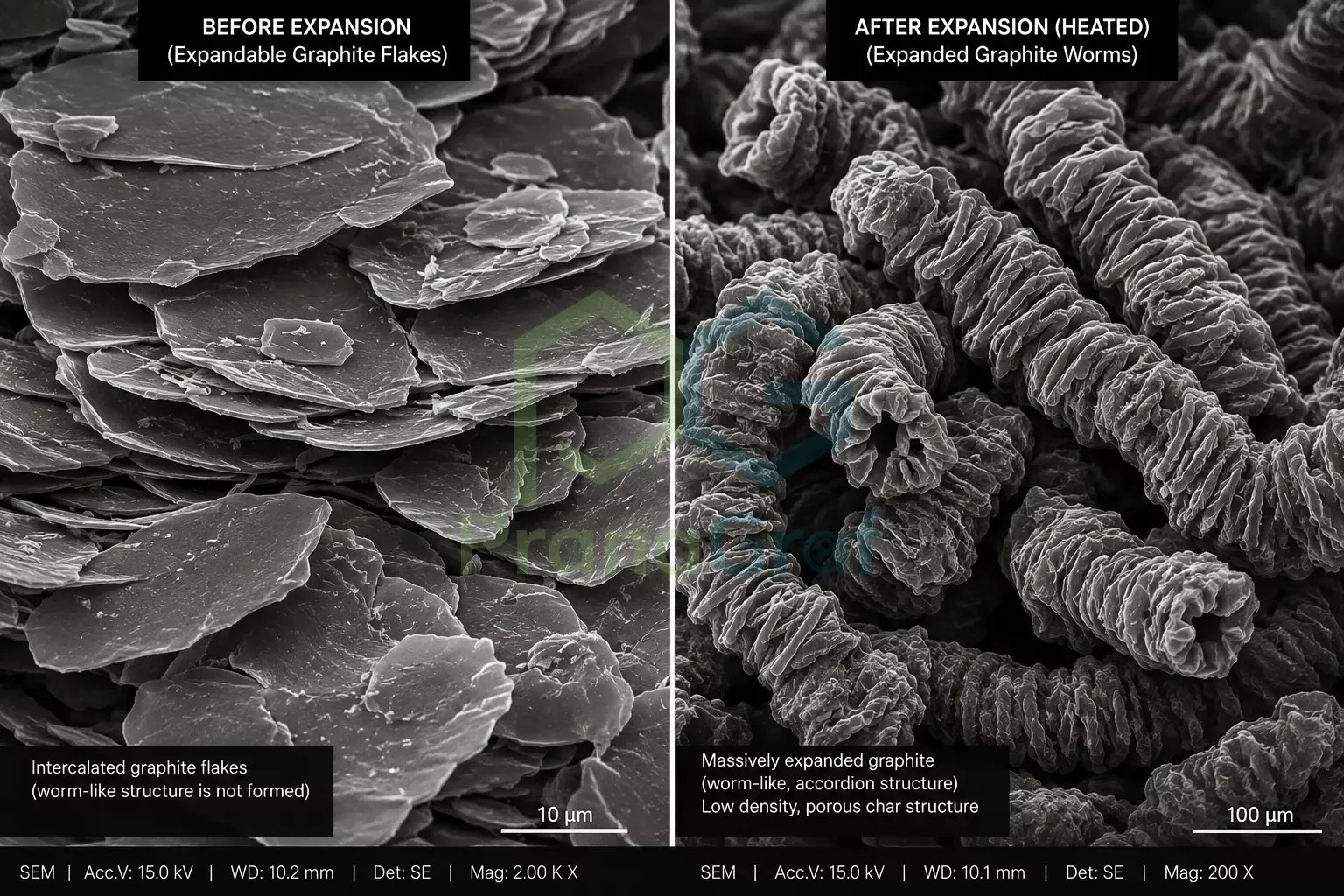 Expandable graphite flakes before and after expansion showing worm-like char structure