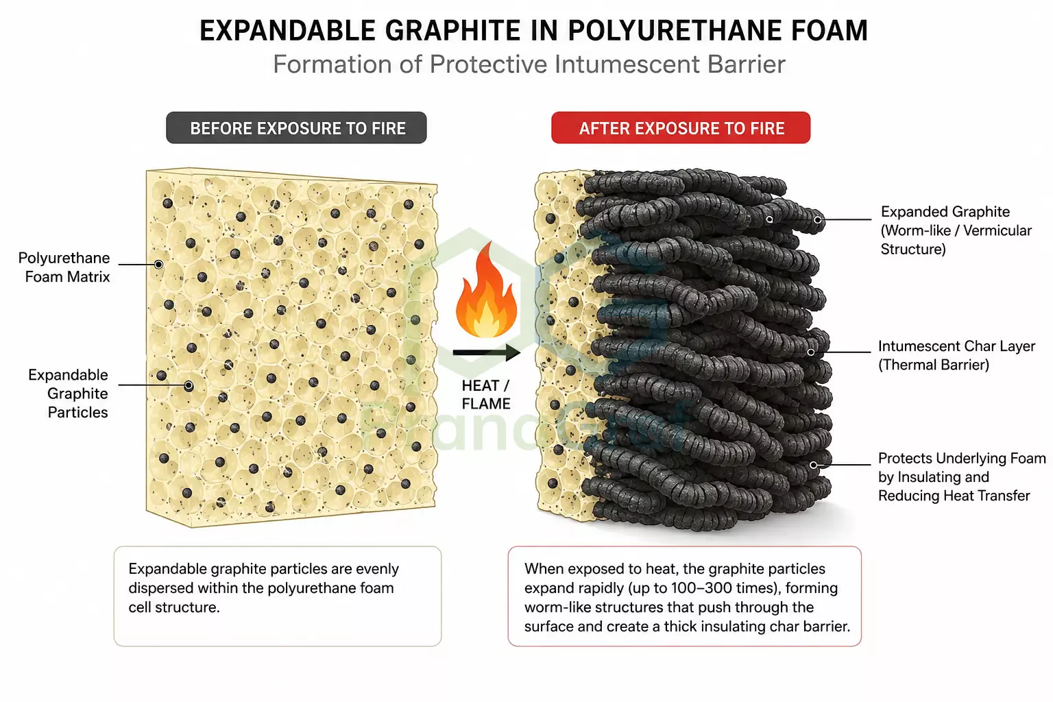 Cross-section of polyurethane foam with expandable graphite char layer